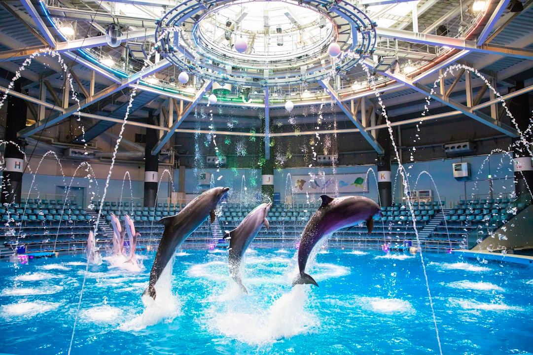 Maxell Aqua Park Shinagawa